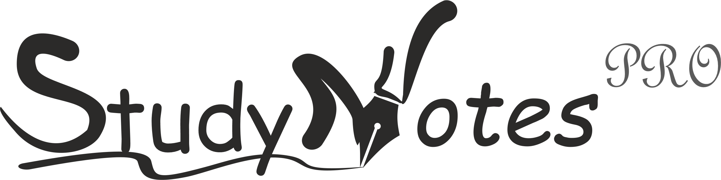 StudyNotes Pro Logo