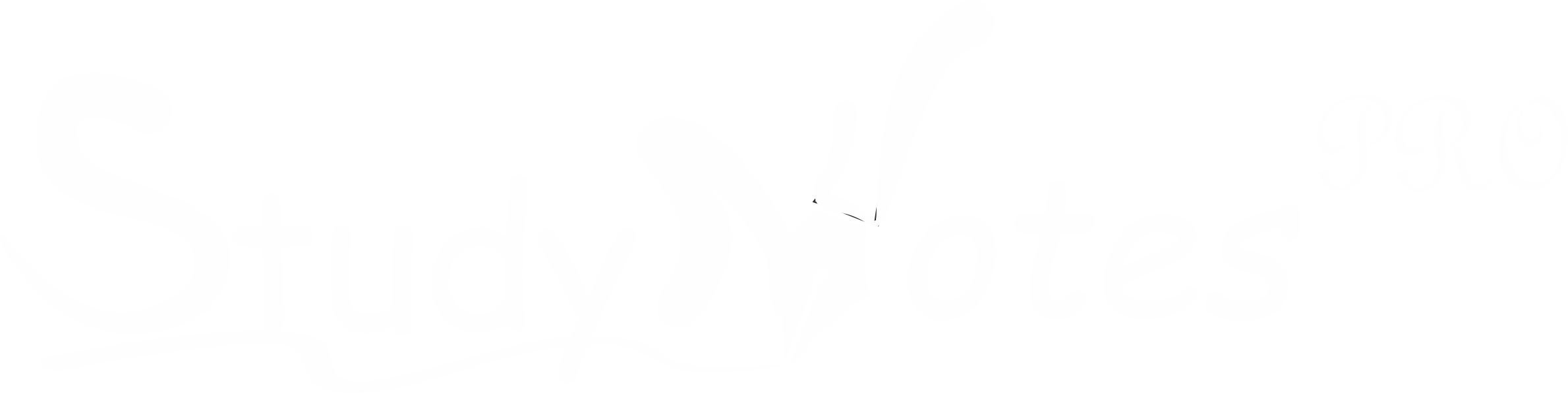 StudyNotes Pro Logo